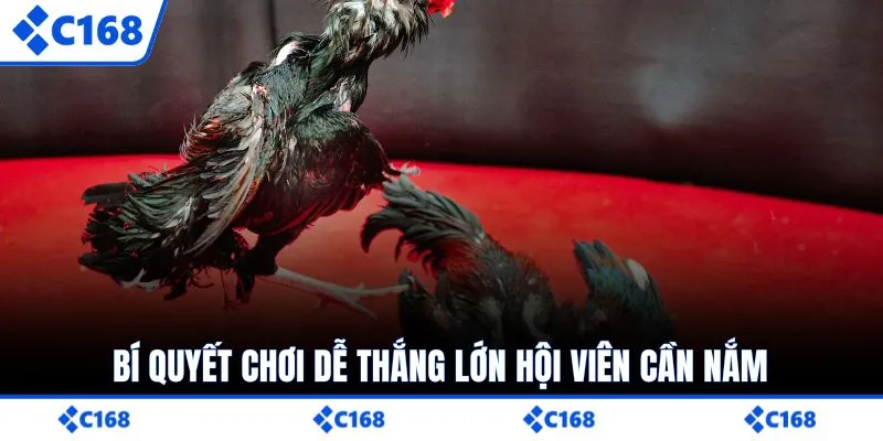 Bí quyết chơi dễ thắng lớn hội viên cần nắm