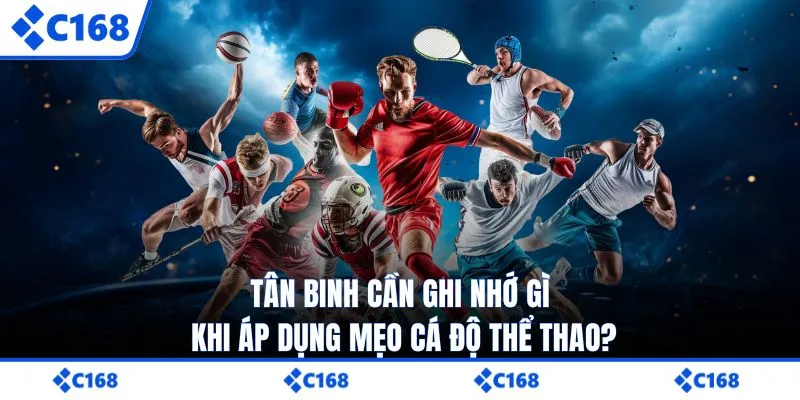 Tân binh cần ghi nhớ gì khi áp dụng mẹo cá độ thể thao?